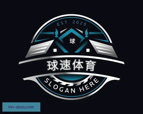 了解球速体育